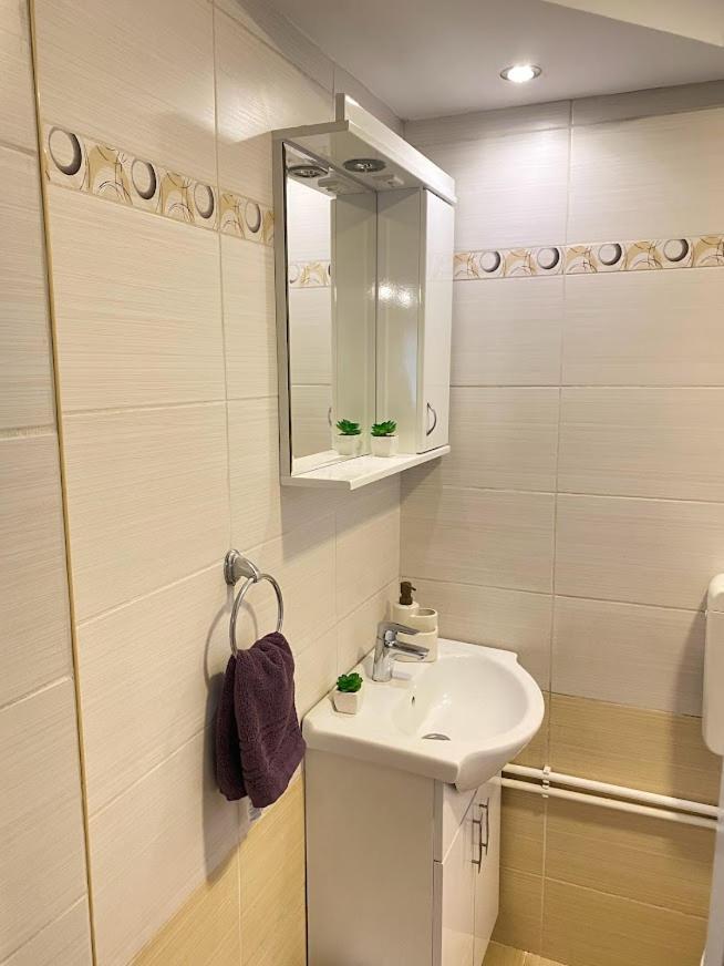 Apartman Mina Mataruska Banja Zewnętrze zdjęcie